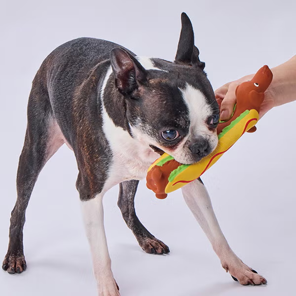 Petio - 犬用長條拉膠玩具系列 熱狗造型 (W27944) (81606023)