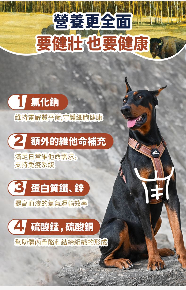 Taste of the Wild - #W47 TOW無穀物野牛+烤鹿肉配方 (成犬糧) 2KG (90101600)