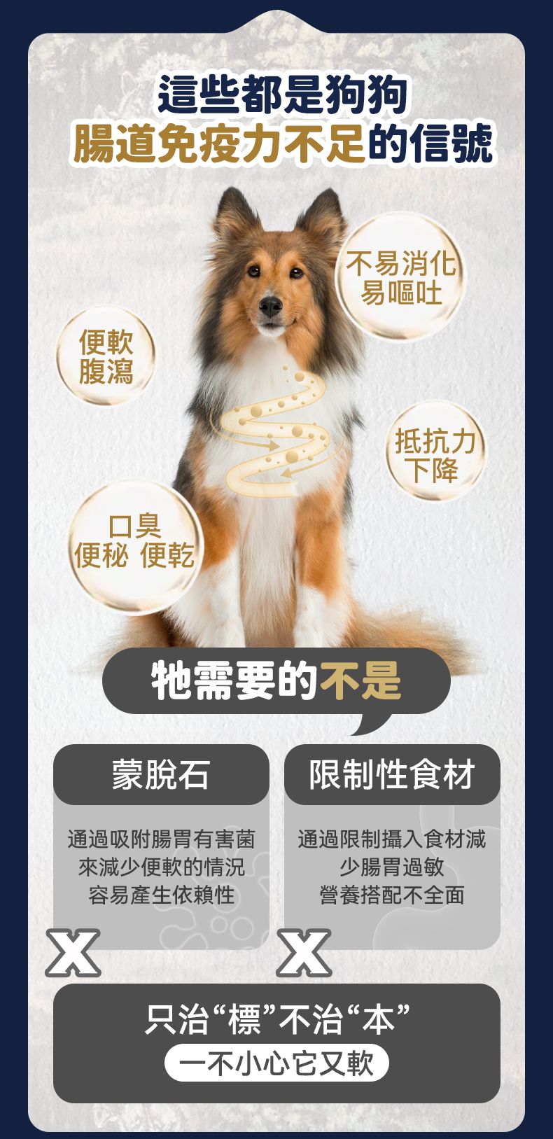 Taste of the Wild - #W41 TOW無穀物烤羊肉配方 (全犬糧) 2KG (90101601)