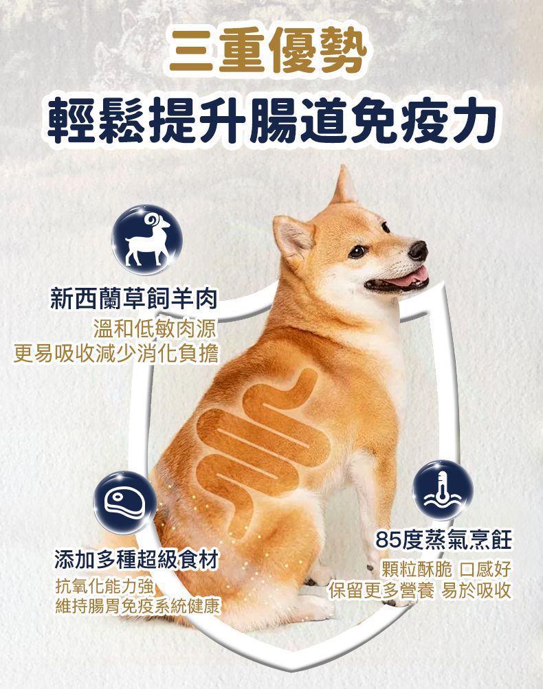 Taste of the Wild - #W41 TOW無穀物烤羊肉配方 (全犬糧) 2KG (90101601)