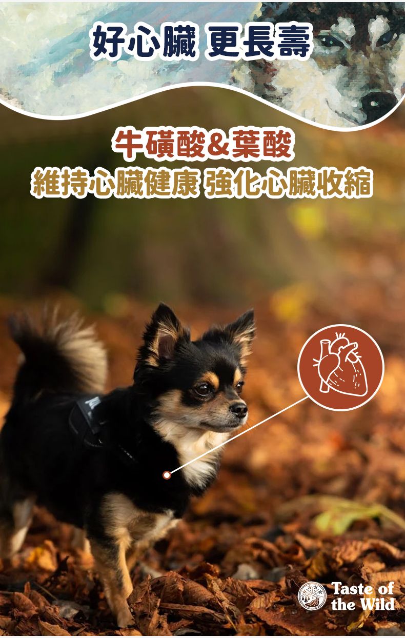 Taste of the Wild - #W35 TOW 無穀物煙熏三文魚幼粒配方 (全犬糧) 2KG (90101604)