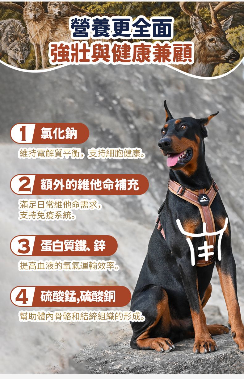 Taste of the Wild - #W29 TOW 無穀物鹿肉+鷹嘴豆配方 (全犬糧)2KG (90101606)
