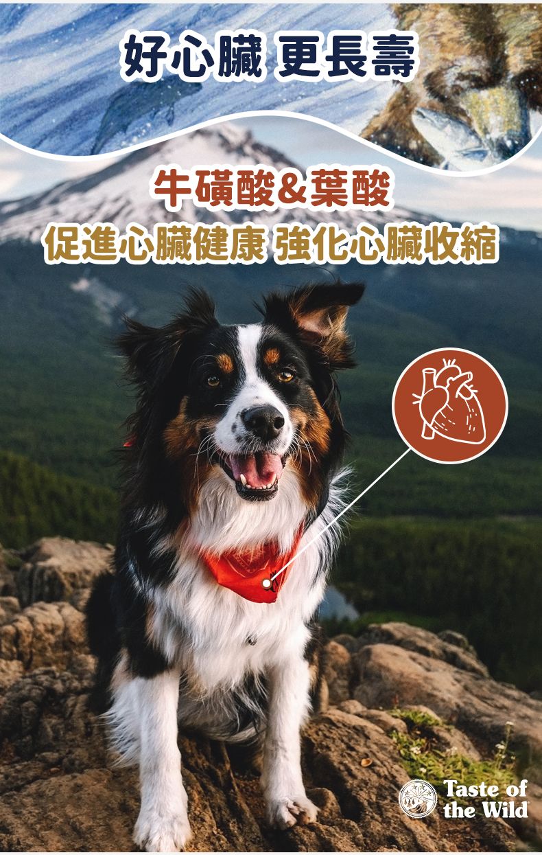 Taste of the Wild - #W51 TOW無穀物三文魚配方 (成犬糧)5.6KG (90102386)