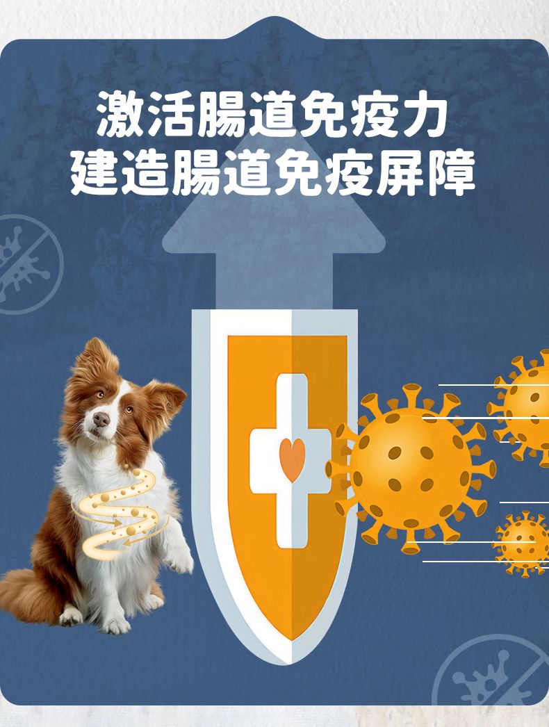 Taste of the Wild - #W43 TOW無穀物烤羊肉配方 (全犬糧) 12.2kg (90102391)
