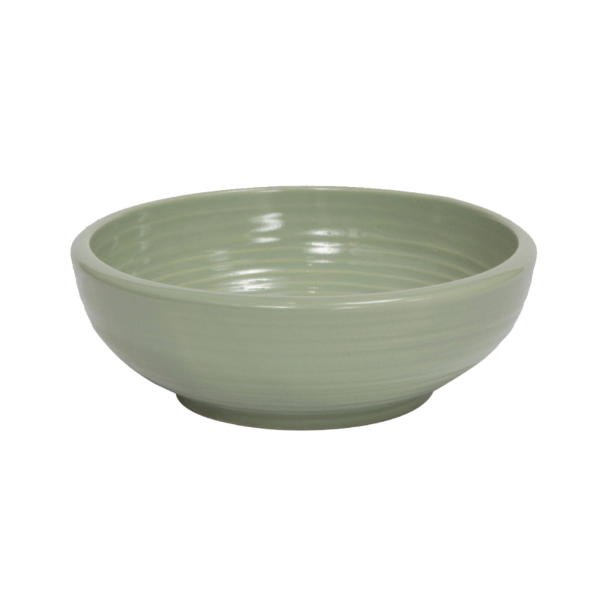 Petio - W25306 Petio #F21 陶瓷犬用健康碗 M (91501691)