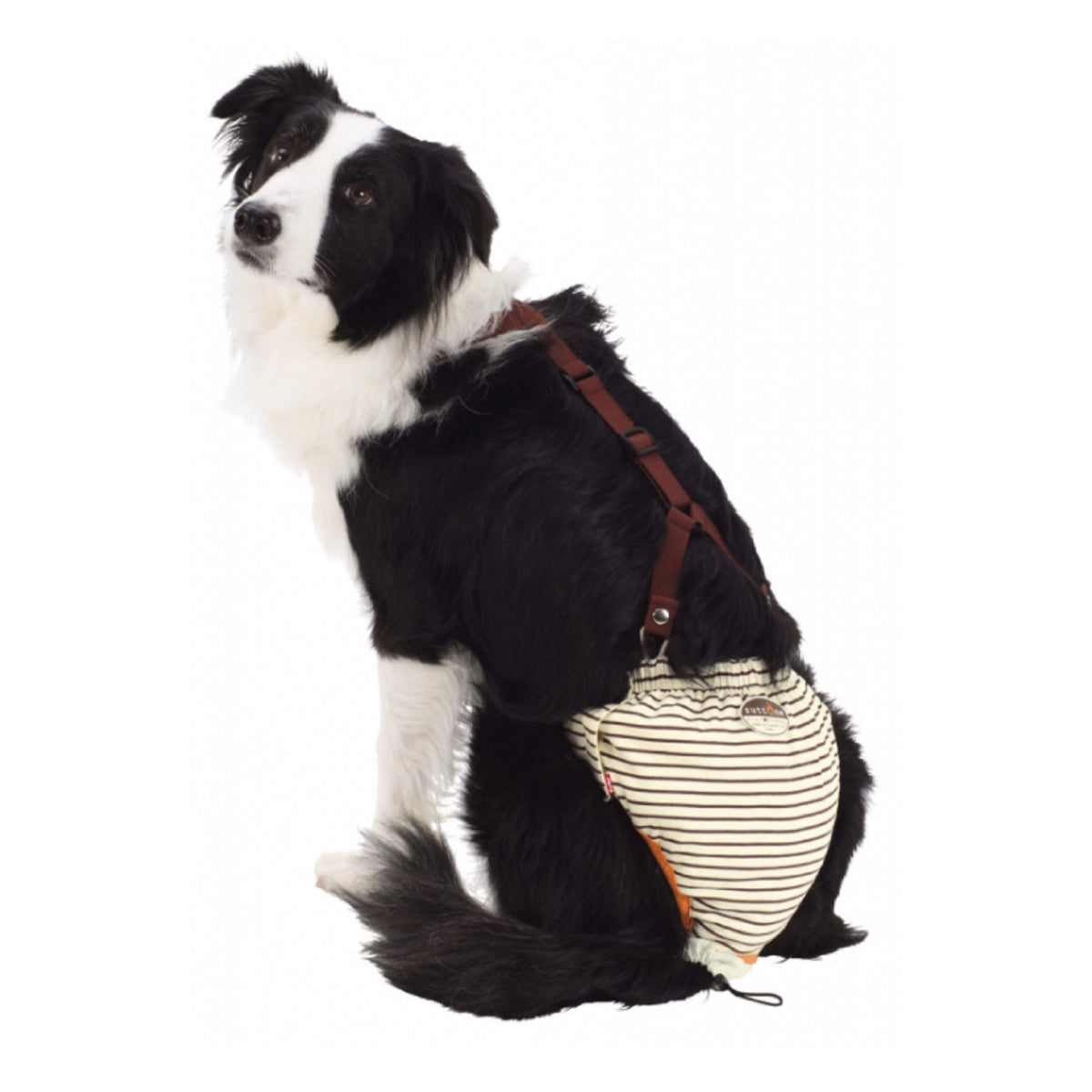 Petio - (w23635) #D14 zuttone高齡犬護理出街專用背帶尿褲 2L (狗仔) (91601250)