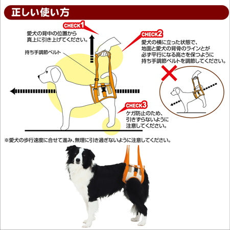Petio - (W23630) #D9 zuttone高齡犬護理專用.步行輔助背帶 (後足)2L (91601349)