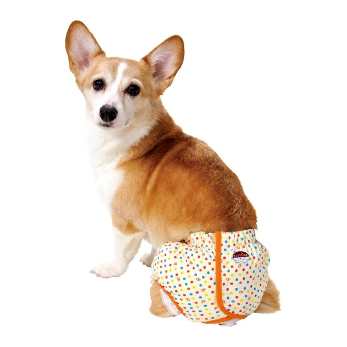 Petio - (w24079) #D28 zuttone高齡犬護理出街專用圓點尿褲 L (91601442)