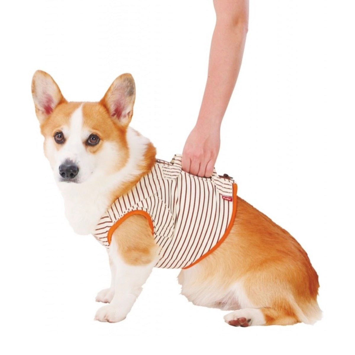 Petio - (w23637) #D31 zuttone高齡犬護理專用.輔助背心 K L (91601450)