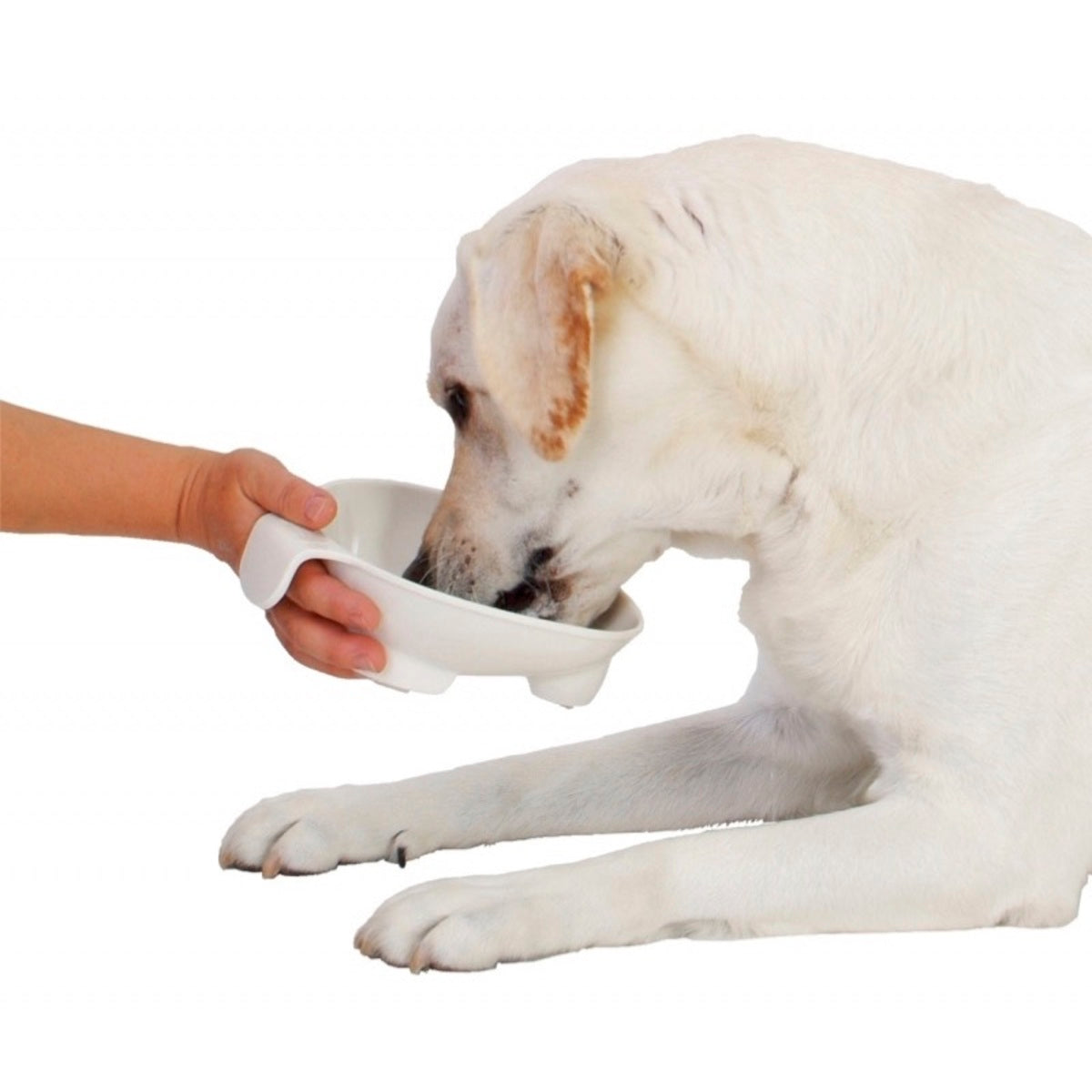 Petio - (w22458) #D36 zuttone高齡犬護理專用.帶手柄食碗 L (91601455)