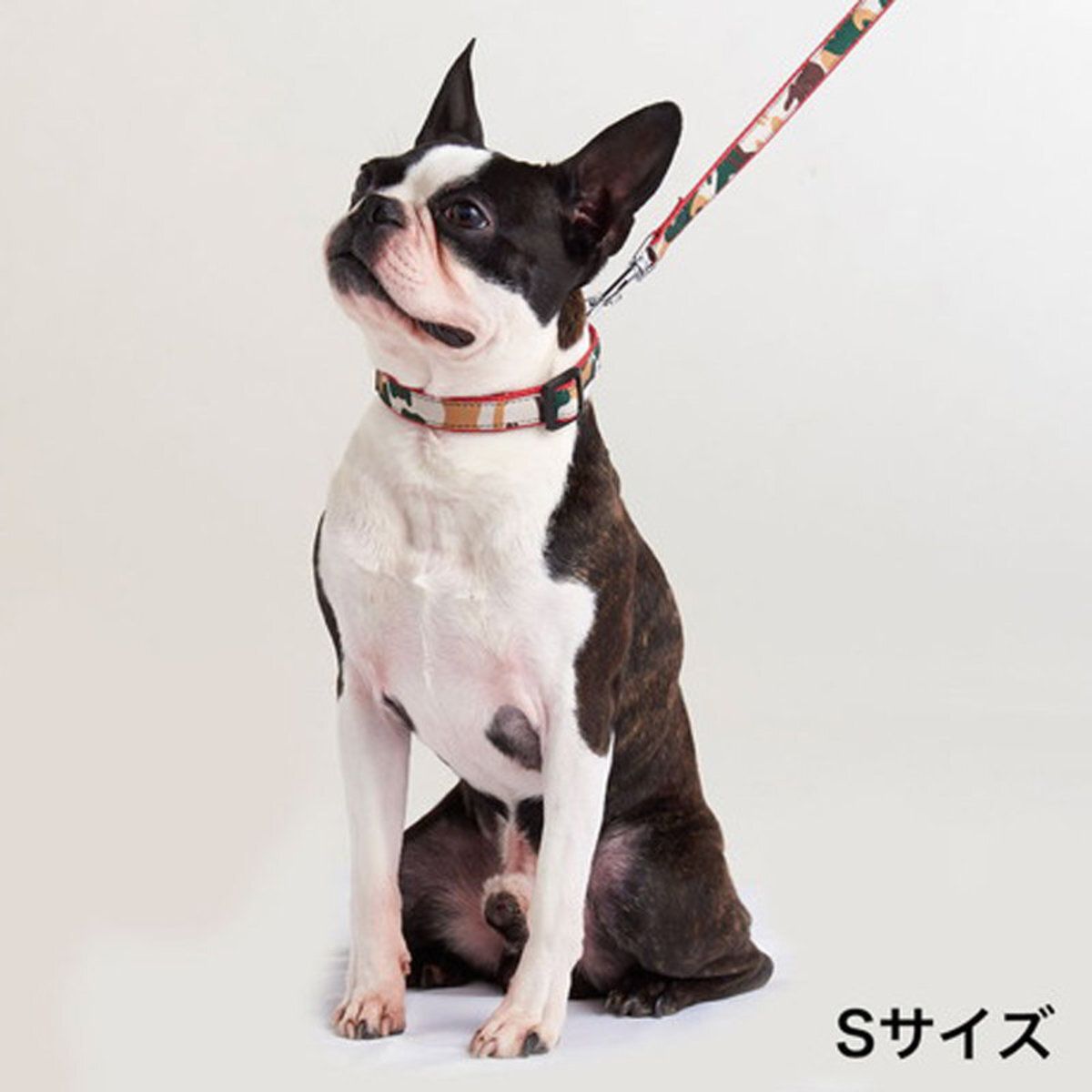 Petio - W57777 #J78 Ethical Door ECO抗菌防水迷彩狗頸帶 S 紅色 (91602736)