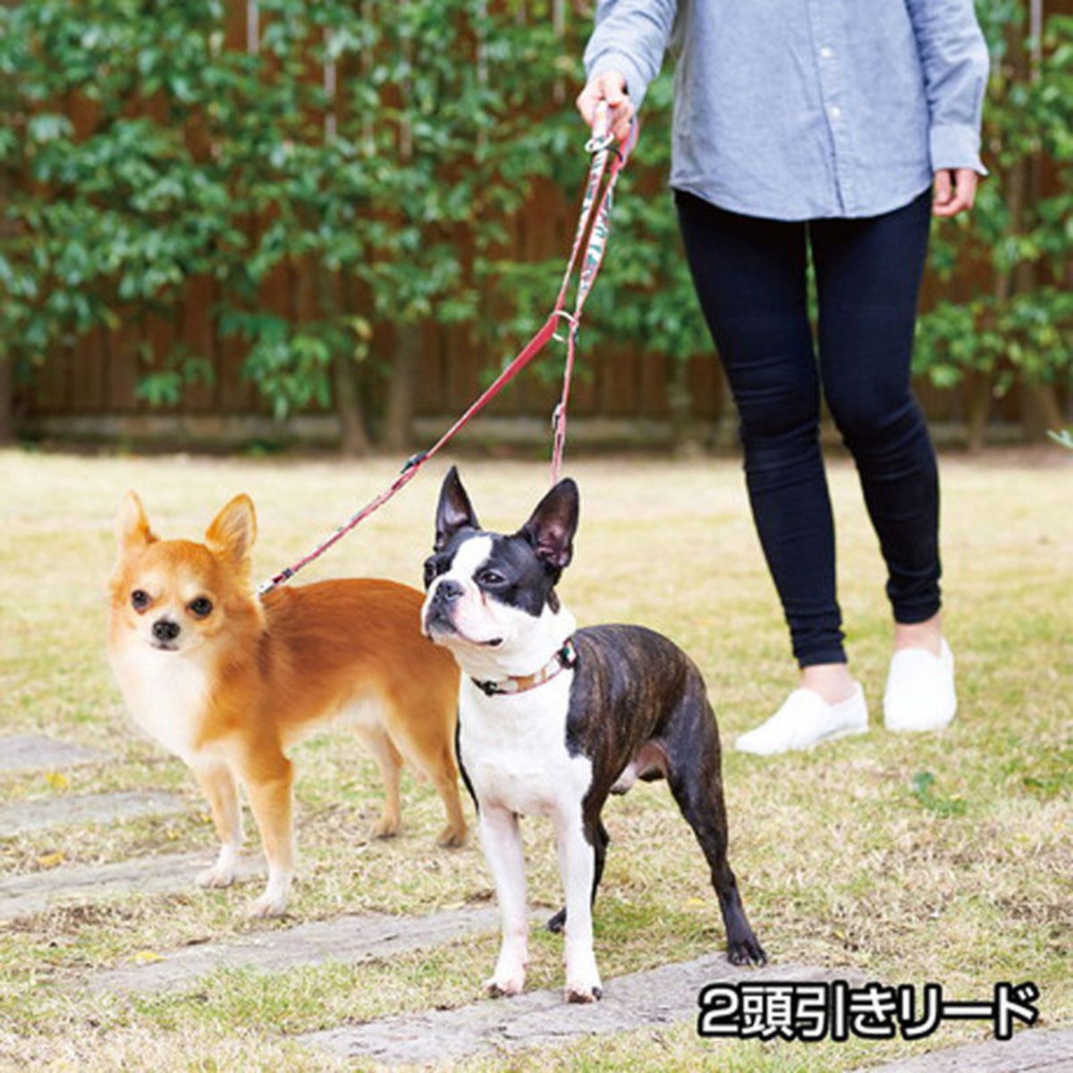 Petio - W57809 #J82 Ethical Door ECO多功能狗用 抗菌防水 迷彩免提拖帶牽繩 紅色 (91602740)