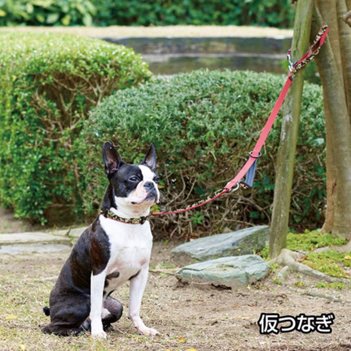 Petio - W57810 #J83 Ethical Door ECO多功能狗用 抗菌防水 迷彩免提拖帶牽繩 黑色 (91602741)