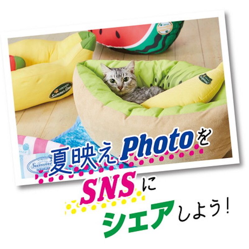 Petio - 貓狗用冷感可手洗寵物床 (奇異果船) (W27113) (91603409)