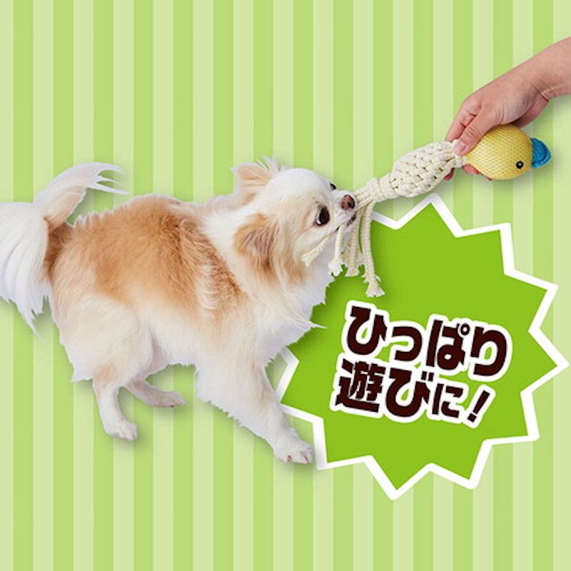 Petio - Add.Mate 潔齒發聲狗玩具 (小雞) (91603511)