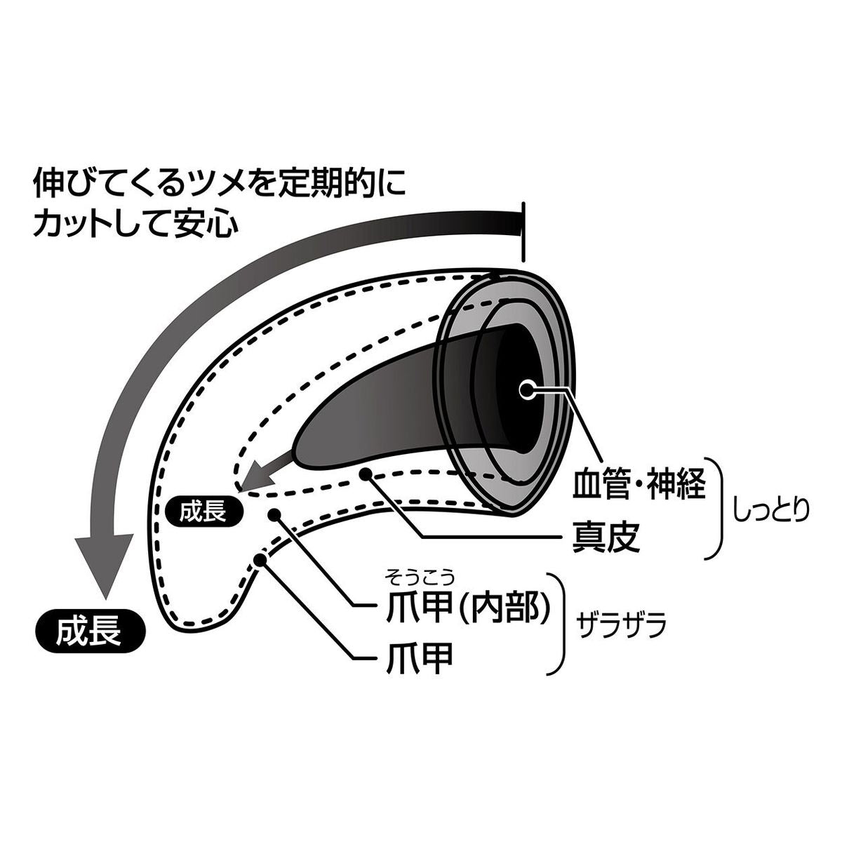 Petio - Self Trimmer 日本製職人手工製 犬用半圓刀刃指甲剪 (91603586)