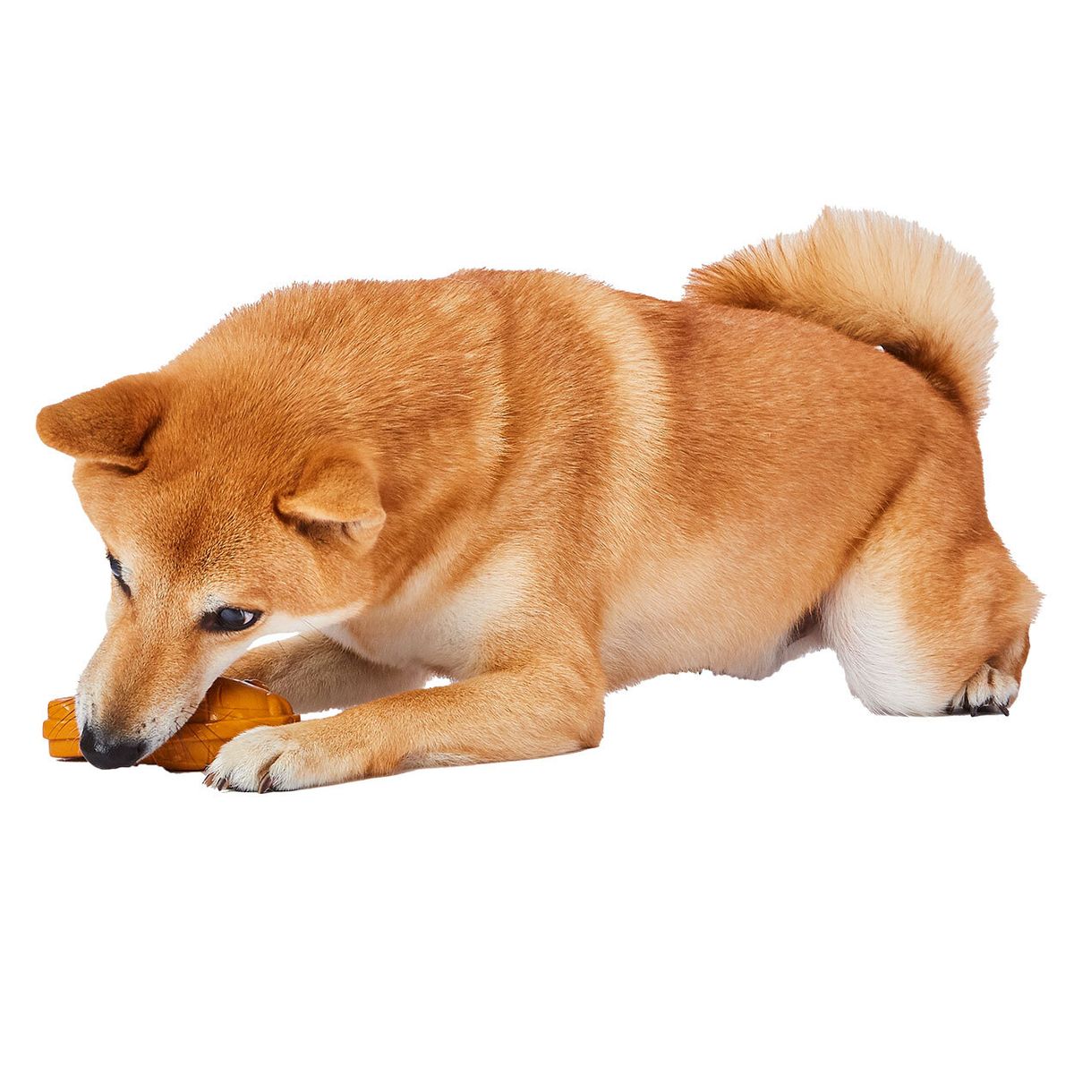 Petio - 犬雅和菓子系列 柔軟乳膠狗玩具 (鯛魚燒 加大版) (91603605)