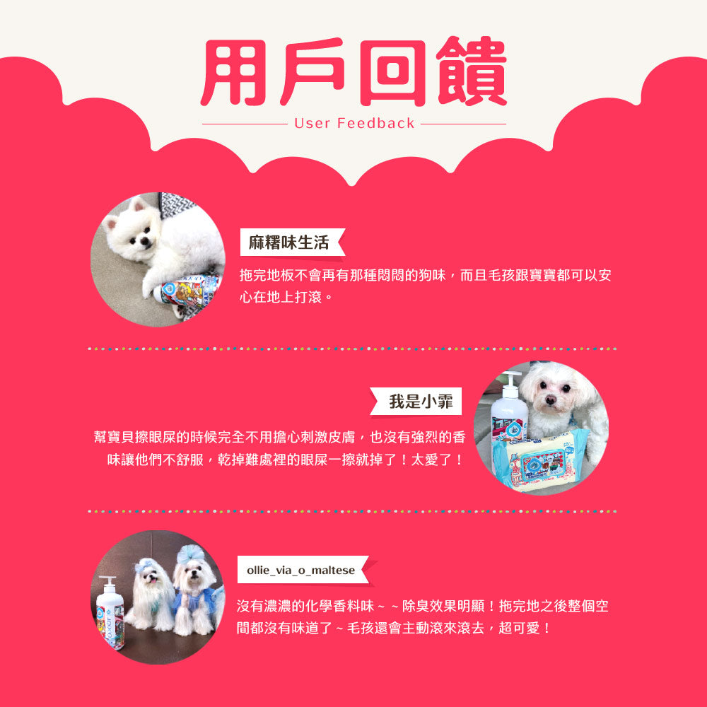 ODOUT - (狗用)地板清潔劑 (4L) X 3件 (91603851X3)