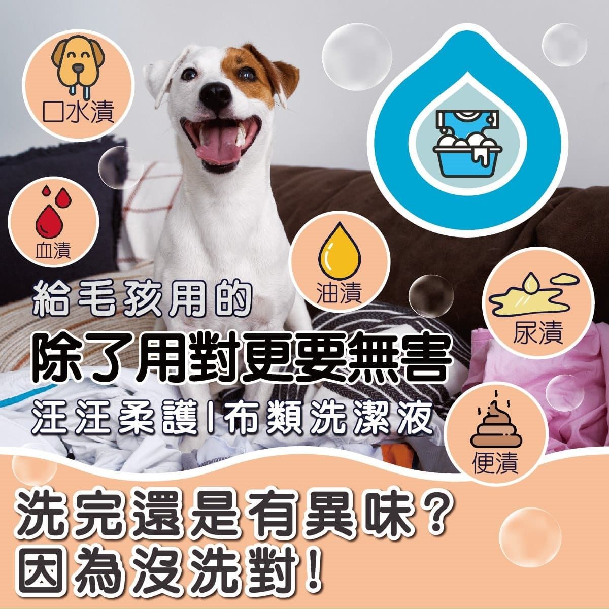 ODOUT - (狗用)布類洗潔液 (1L) X 6件 (91603861X6)