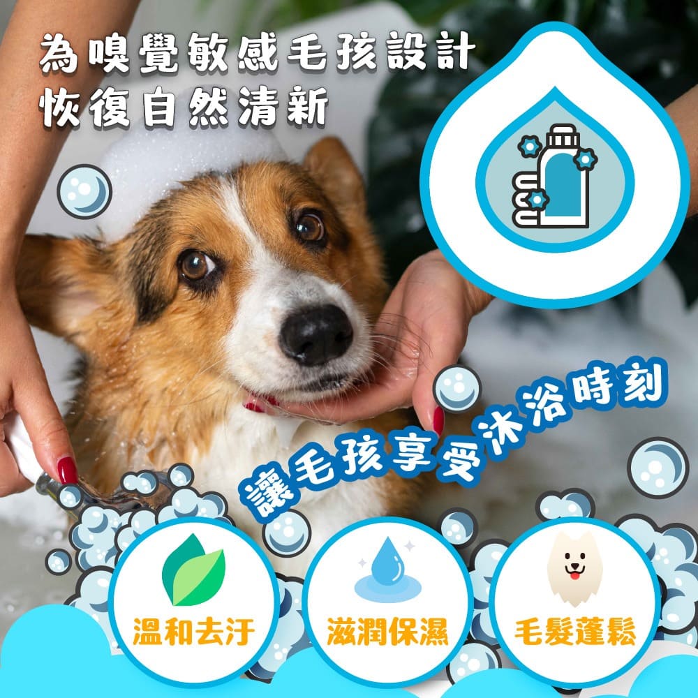 ODOUT - (犬貓適用)寵物無香味低敏除臭洗毛液 (0.5L) (91603875)