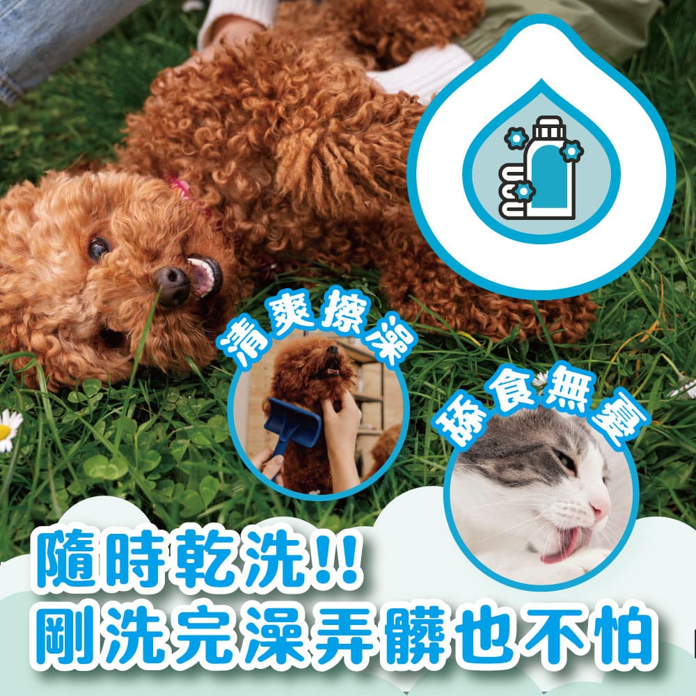 ODOUT - (犬貓適用)寵物天然除臭清潔乾洗粉 (100g) (91603877)