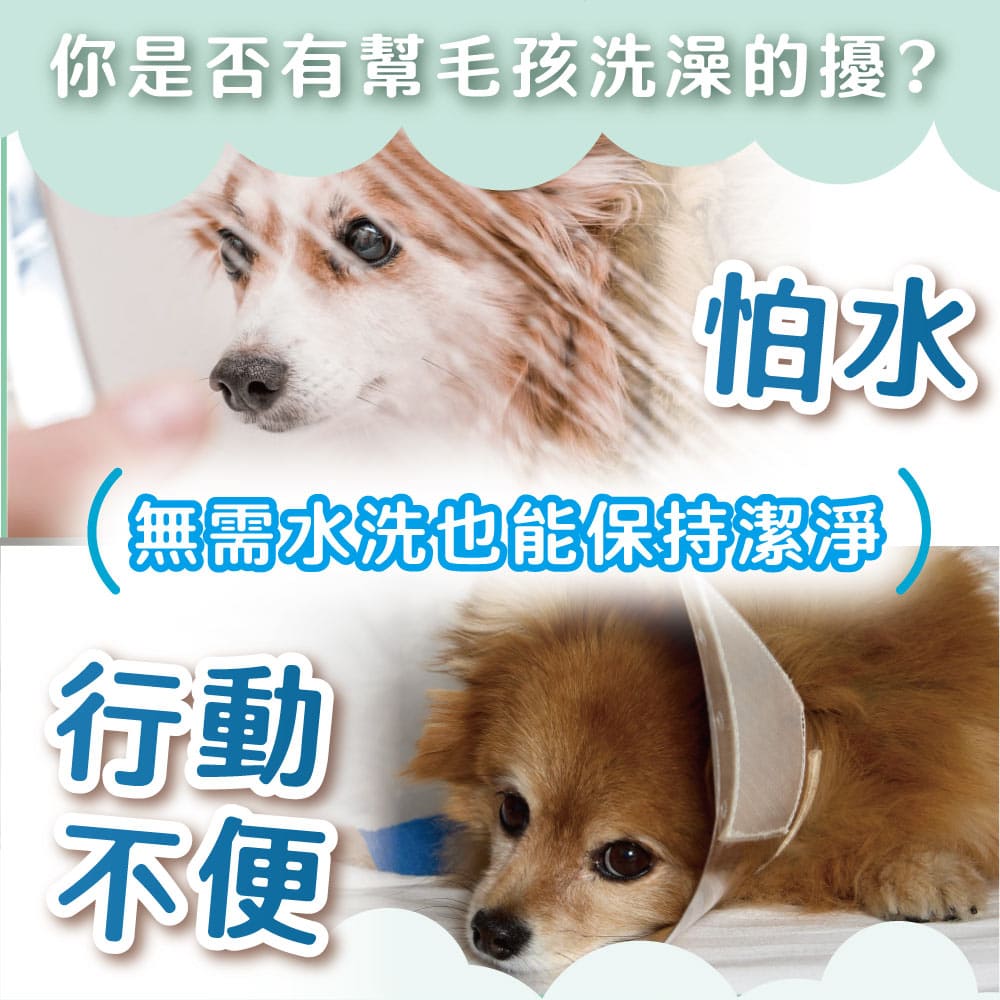 ODOUT - (犬貓適用)寵物天然除臭清潔乾洗粉 (100g) X 6件 (91603877X6)