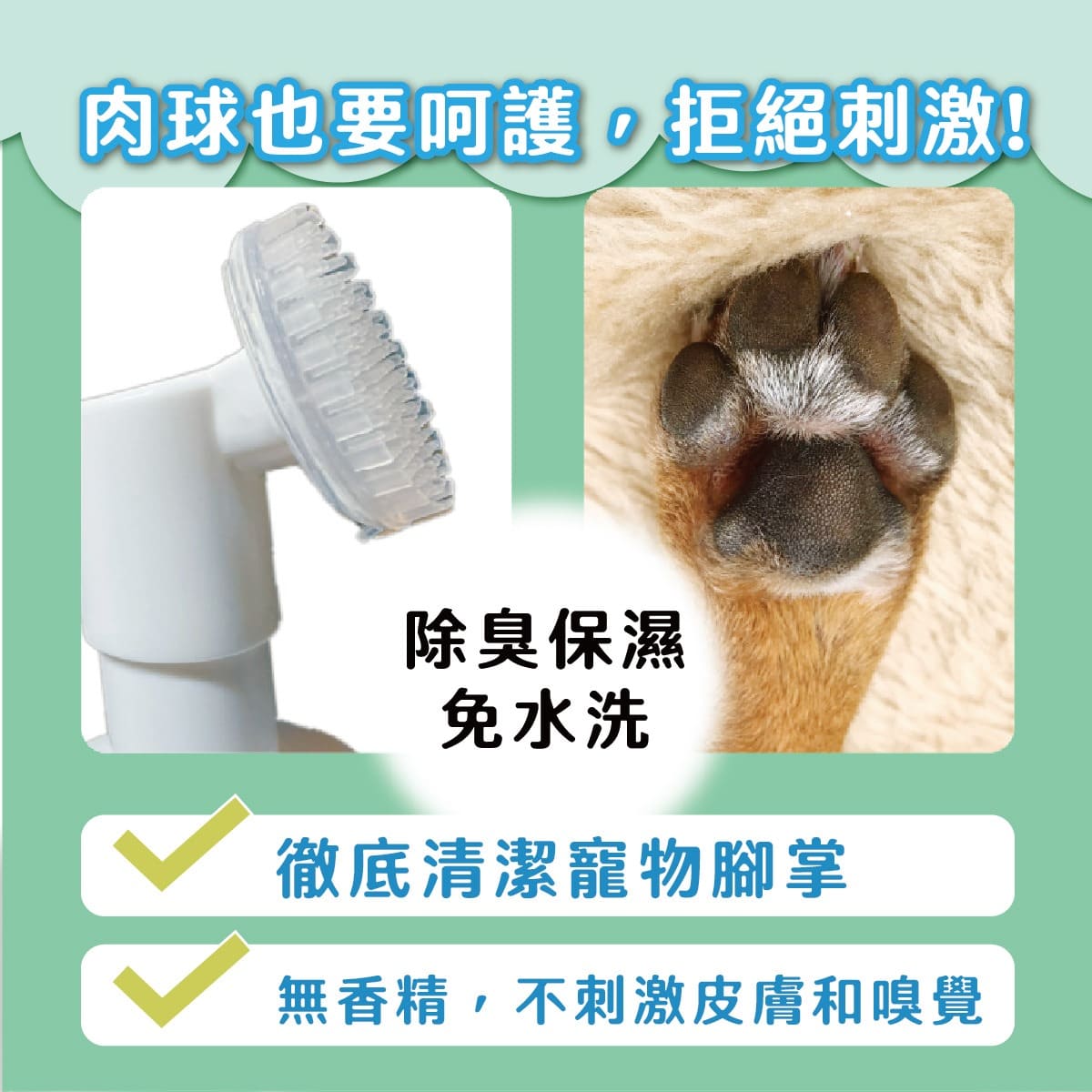 ODOUT - (犬貓適用)寵物腳底清潔慕斯 (150ML) (91603879)