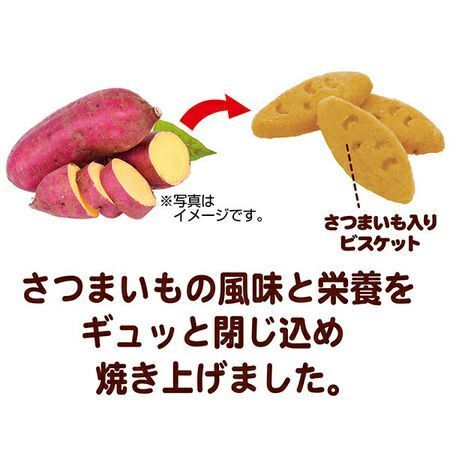 Petio - 無穀物紅薯蔬菜餅乾 120g (W13562) (80505332)