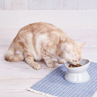 Petio - Add Mate 斜口陶瓷 低身易食碗 S (犬貓合用) (A27656) (81602800)