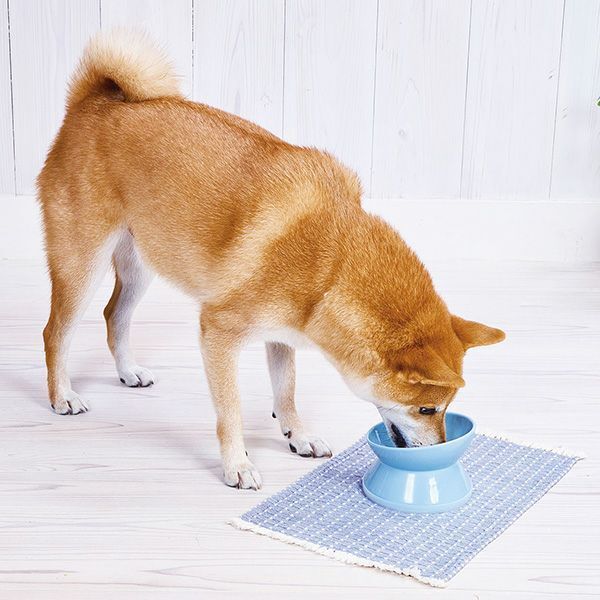 Petio - Add Mate 斜口陶瓷 低身易食碗 M (犬貓合用) (A27657) (81602801)