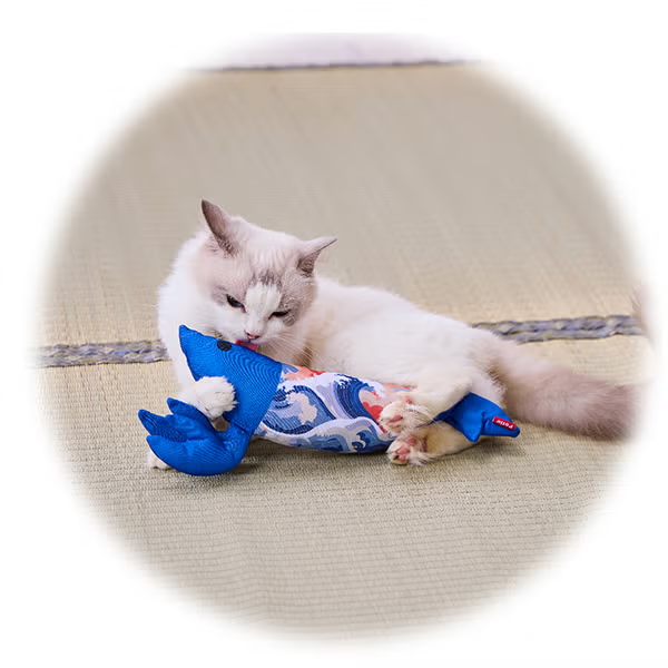Petio - 猫小町 踢踢蝦貓咪抱枕 (荒波款) (W27879) (81606025)