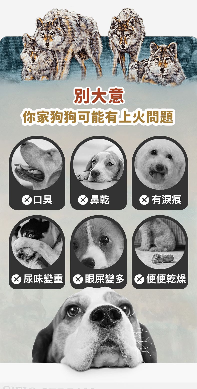 Taste of the Wild - #W53 TOW 無穀物鴨肉配方 (成犬糧) 2KG  (90101598)