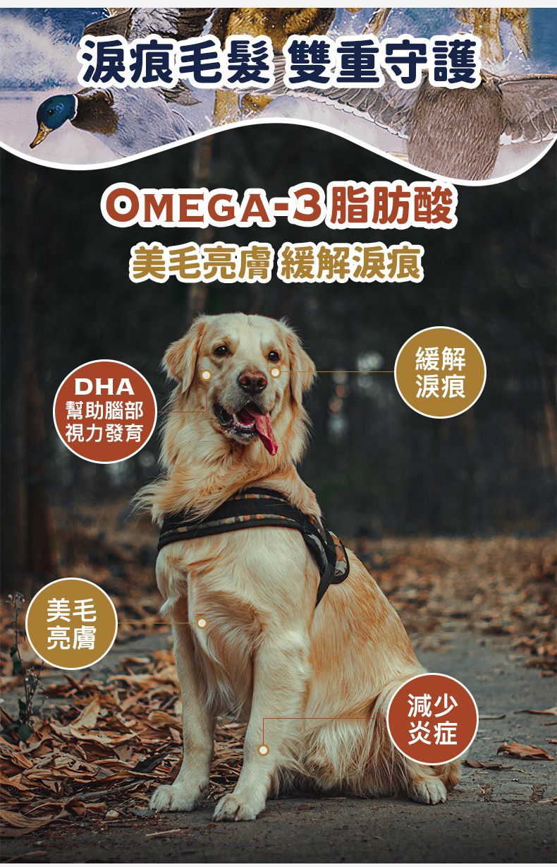 Taste of the Wild - #W53 TOW 無穀物鴨肉配方 (成犬糧) 2KG  (90101598)