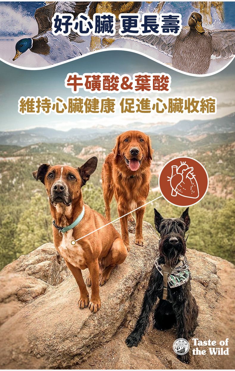 Taste of the Wild - #W53 TOW 無穀物鴨肉配方 (成犬糧) 2KG  (90101598)