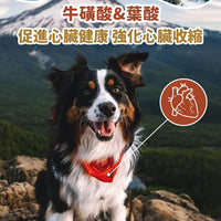 Taste of the Wild - #W50 TOW無穀物三文魚配方 (成犬糧)2KG  (90101599)