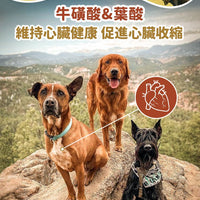 Taste of the Wild - #W47 TOW無穀物野牛+烤鹿肉配方 (成犬糧) 2KG  (90101600)