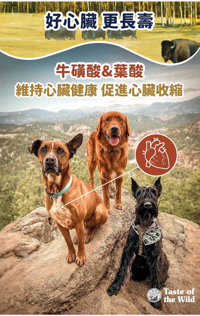 Taste of the Wild - #W47 TOW無穀物野牛+烤鹿肉配方 (成犬糧) 2KG  (90101600)