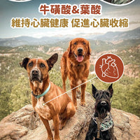 Taste of the Wild - #W32TOW 無穀物野牛+烤鹿肉幼粒配方 (全犬糧) 2KG  (90101603)