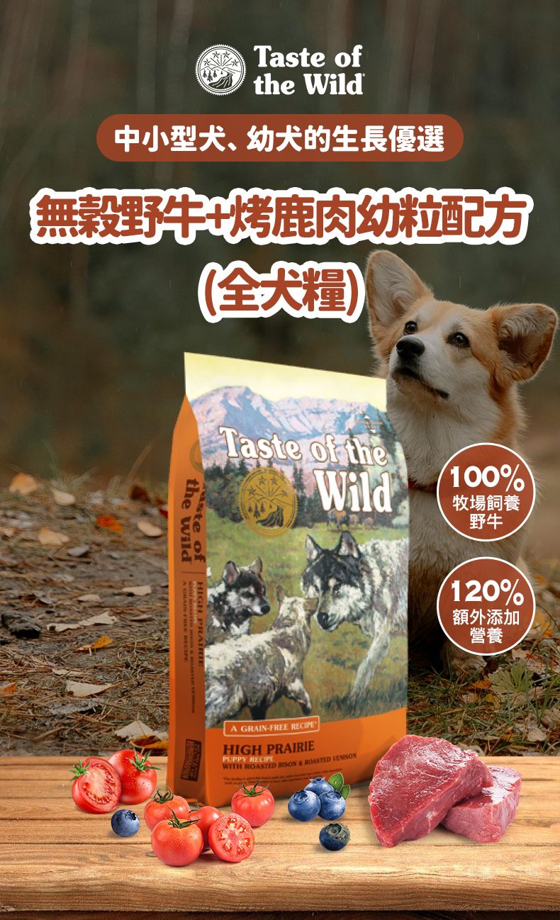 Taste of the Wild - #W32TOW 無穀物野牛+烤鹿肉幼粒配方 (全犬糧) 2KG  (90101603)