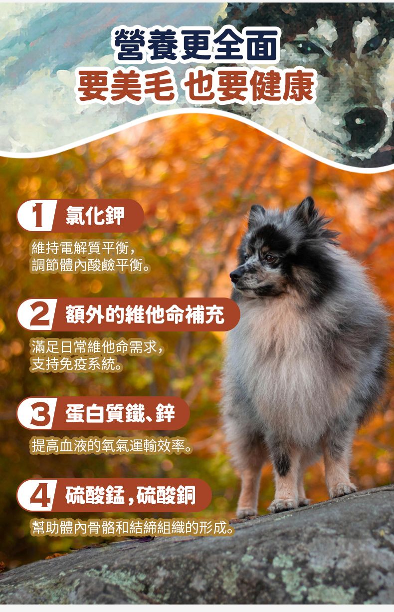 Taste of the Wild - #W35 TOW 無穀物煙熏三文魚幼粒配方 (全犬糧) 2KG  (90101604)