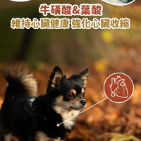 Taste of the Wild - #W35 TOW 無穀物煙熏三文魚幼粒配方 (全犬糧) 2KG  (90101604)