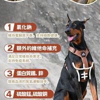 Taste of the Wild - #W29 TOW 無穀物鹿肉+鷹嘴豆配方 (全犬糧)2KG  (90101606)