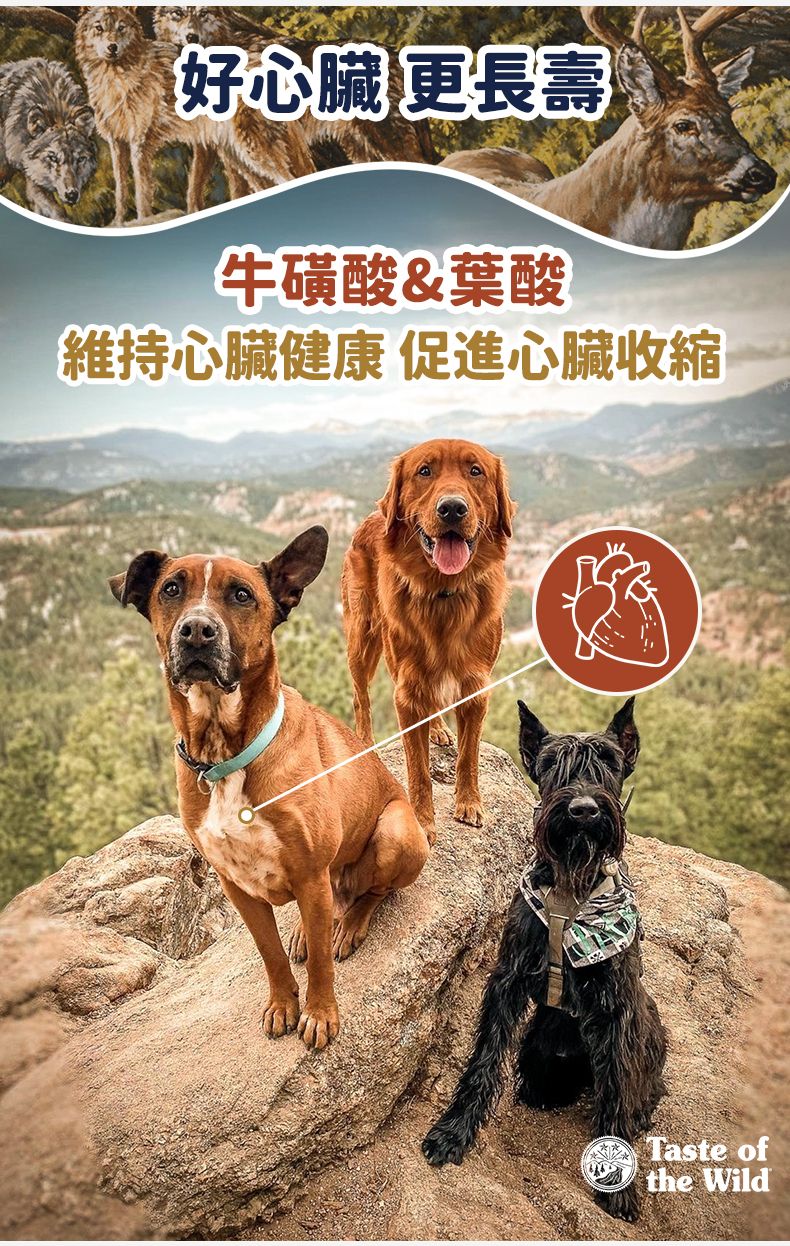 Taste of the Wild - #W29 TOW 無穀物鹿肉+鷹嘴豆配方 (全犬糧)2KG  (90101606)