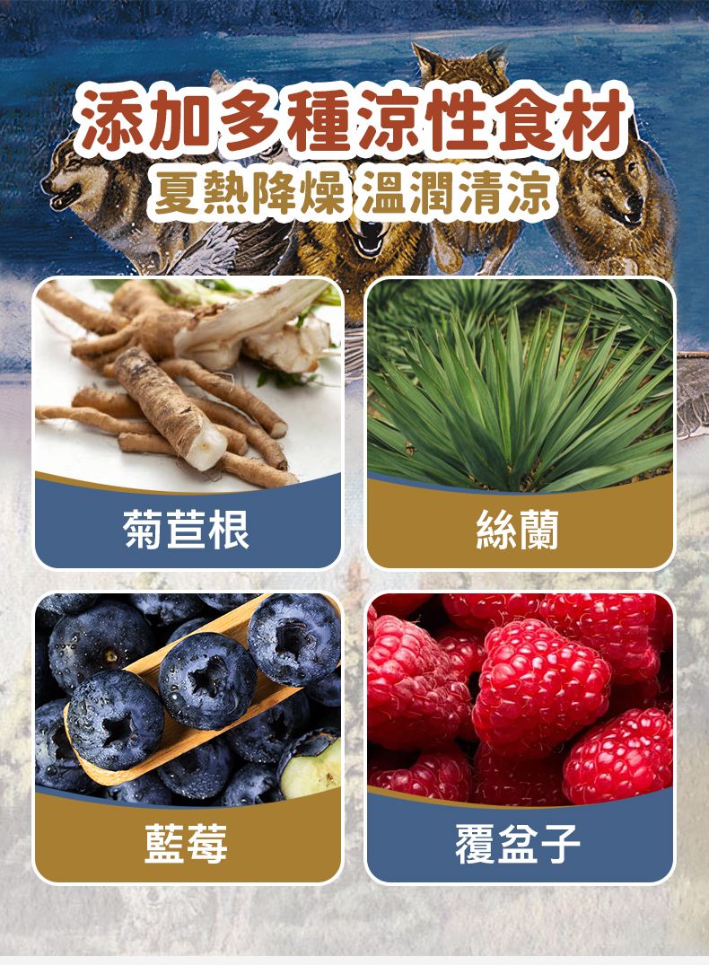 Taste of the Wild - #W55 TOW 無穀物鴨肉配方 (成犬糧)12.2KG  (90102385)