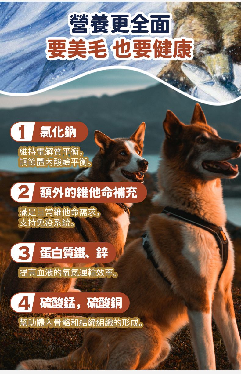 Taste of the Wild - #W51 TOW無穀物三文魚配方 (成犬糧)5.6KG  (90102386)