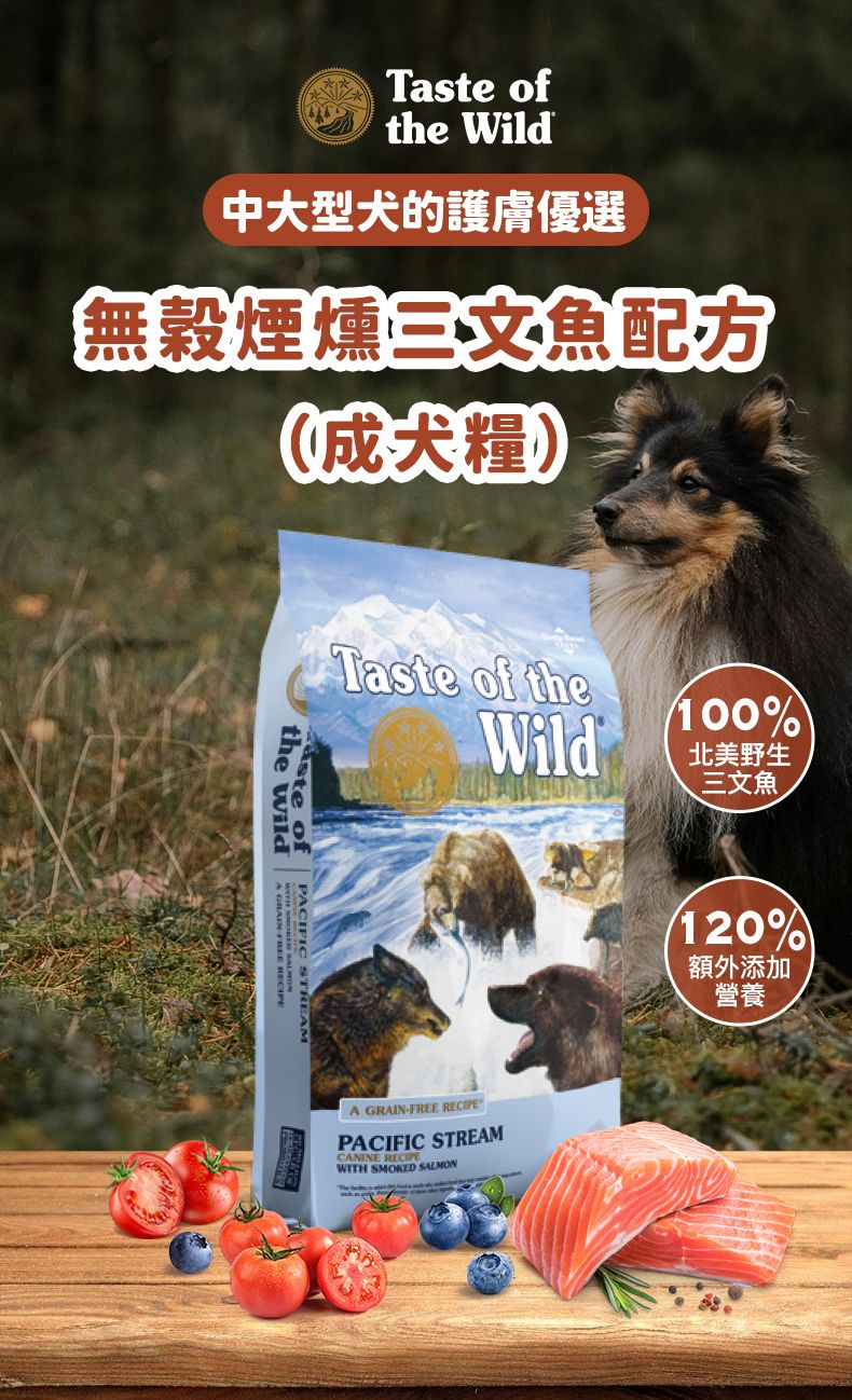 Taste of the Wild - #W51 TOW無穀物三文魚配方 (成犬糧)5.6KG  (90102386)