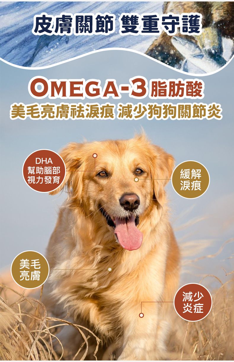 Taste of the Wild - #W52 TOW無穀物三文魚配方 (成犬糧)12.2KG  (90102387)