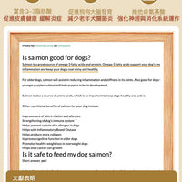 Taste of the Wild - #W52 TOW無穀物三文魚配方 (成犬糧)12.2KG  (90102387)