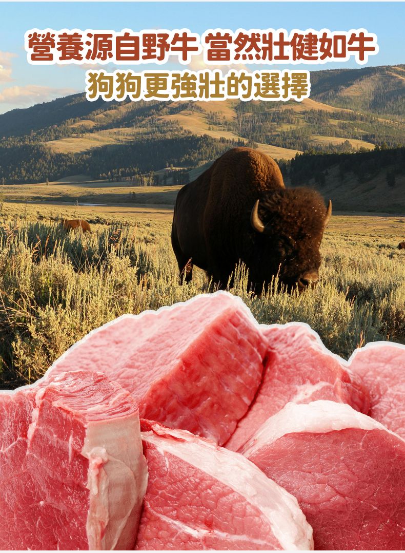 Taste of the Wild - #W48 TOW無穀物野牛+烤鹿肉配方 (成犬糧)5.6KG  (90102388)