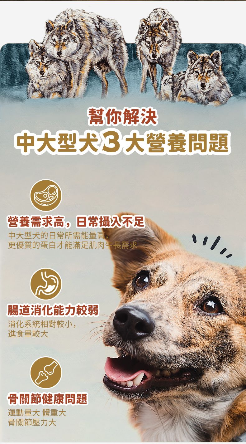 Taste of the Wild - #W48 TOW無穀物野牛+烤鹿肉配方 (成犬糧)5.6KG  (90102388)